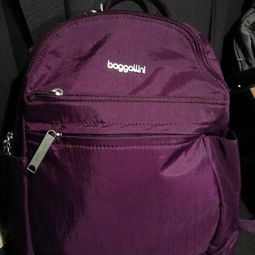 Baggallini Deep Plum Or BLACK  Nylon Daypack